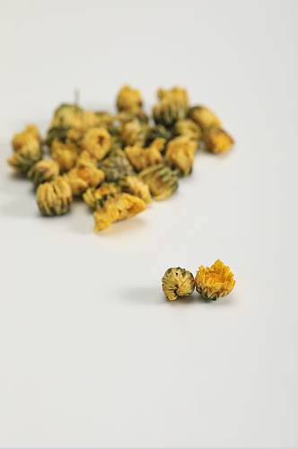 胎菊中药材中草药中医中药物品摄影图片