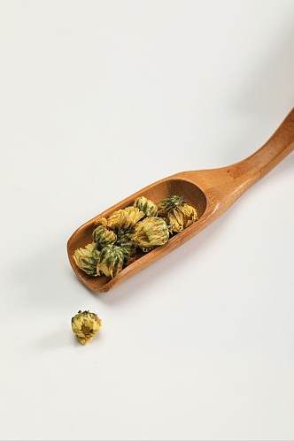 胎菊中药材中草药中医中药物品摄影图片