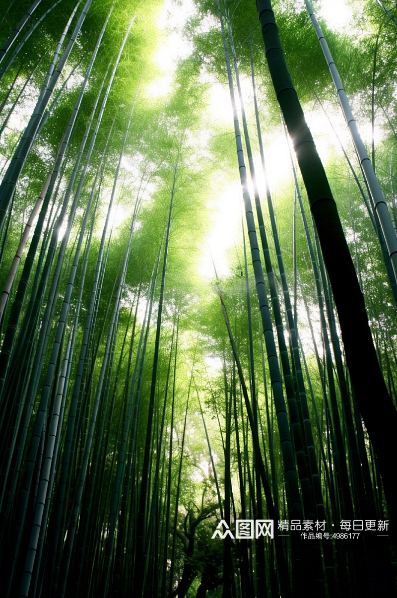 AI数字艺术竹子竹林植物自然风景摄影图片素材