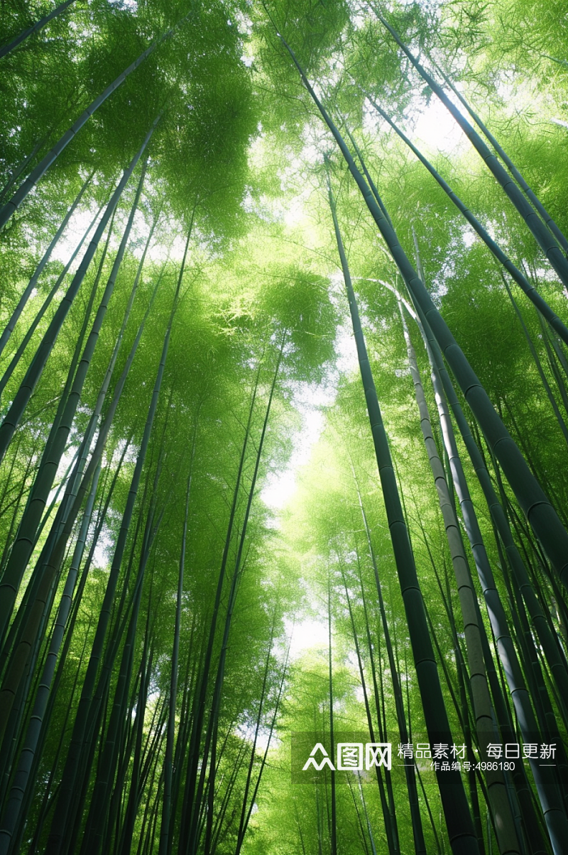 AI数字艺术竹子竹林植物自然风景摄影图片素材
