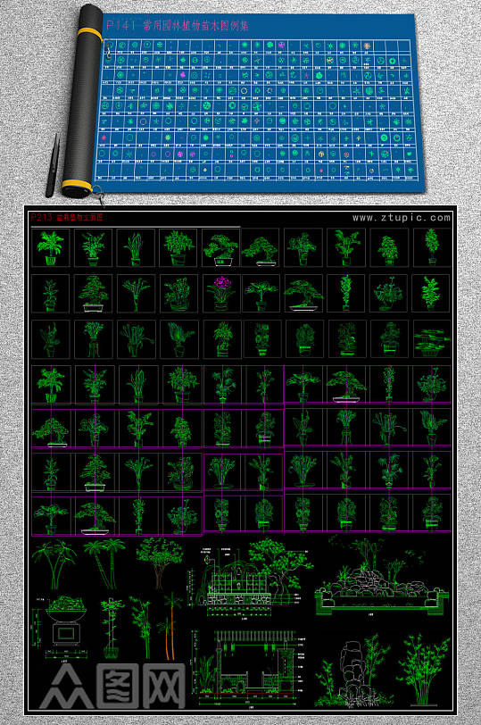 2019最新室外植物立面图CAD模板