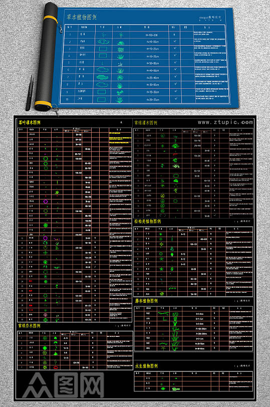 2019常用园林植物苗木图CAD例集