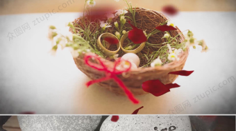 花瓣浪漫爱情婚礼视频-众图网