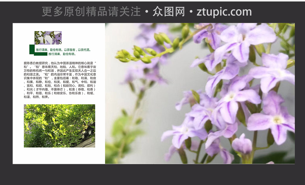 环保绿色简约画册封面素材