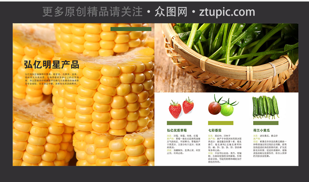 健康营养蔬菜画册封面设计素材