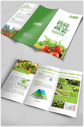 绿色蔬菜水果环保设计三折页