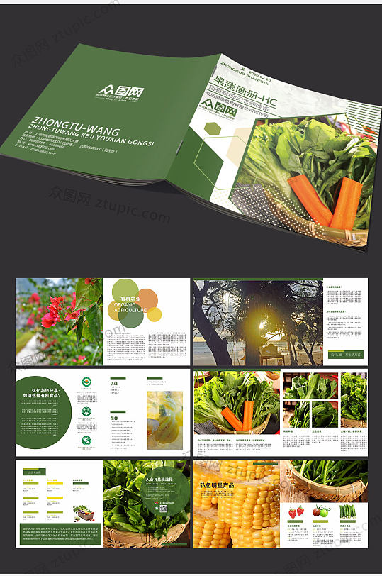 健康营养蔬菜画册封面设计