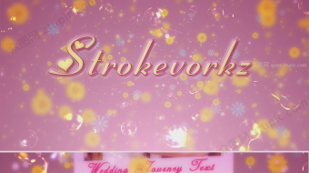 清新花瓣婚礼纪念视频-众图网