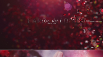 颗粒高贵晶体婚礼视频-众图网