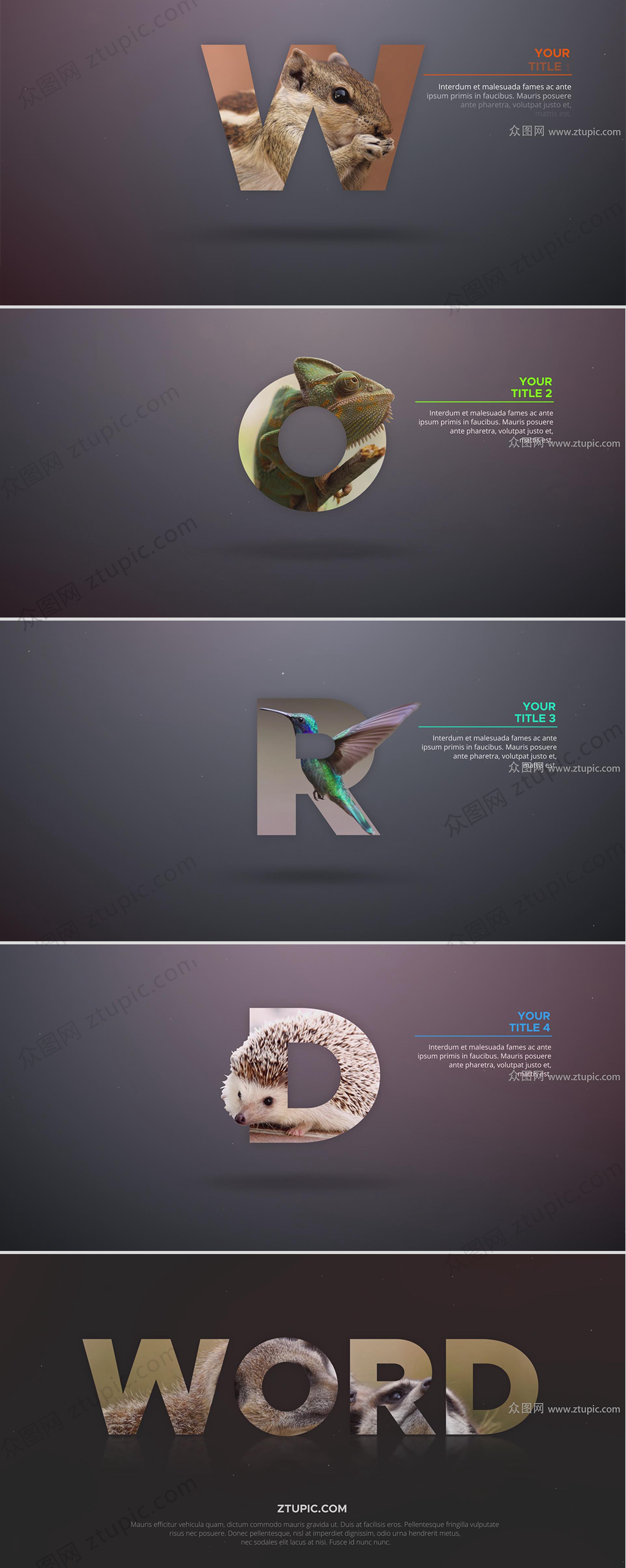 简约字体标注AE模版素材