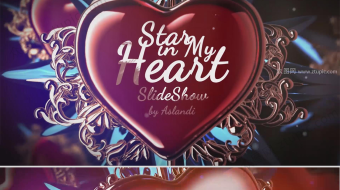 高端华贵欧式婚礼视频-众图网