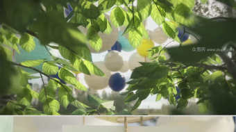 唯美婚礼相册视频-众图网