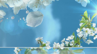 清新飘花律动相册回忆视频-众图网