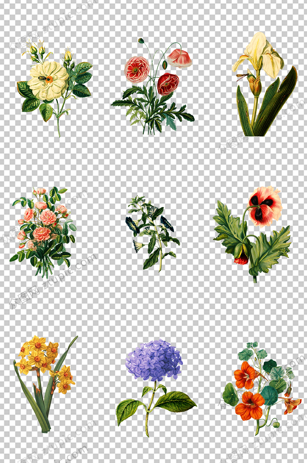 免扣花朵元素PNG素材
