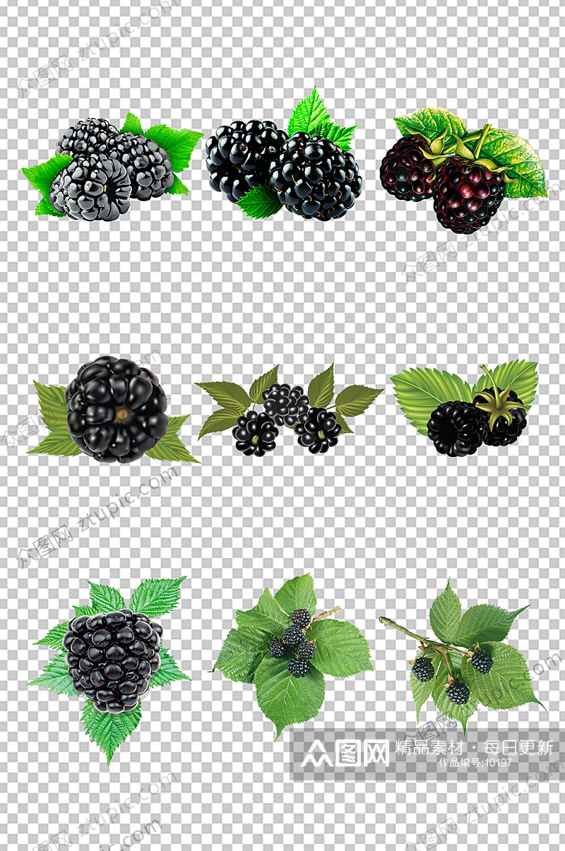 黑莓叶子水果免抠元素素材