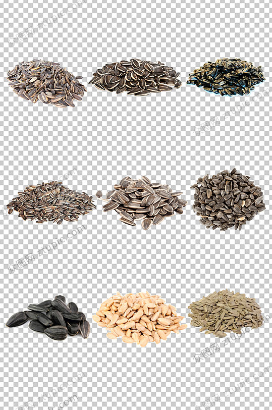 南瓜子卡通图片 南瓜子卡通素材下载 众图网