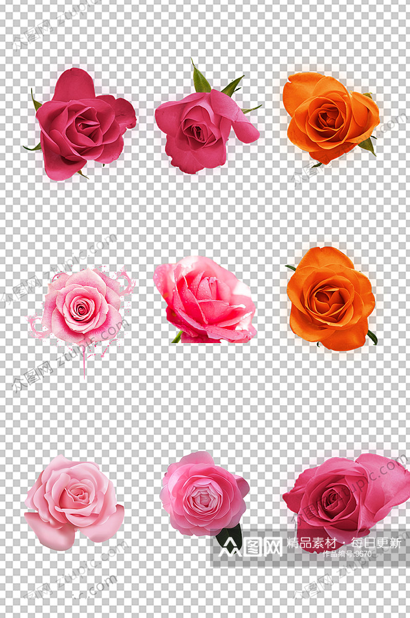 粉色玫瑰花朵PNG素材素材