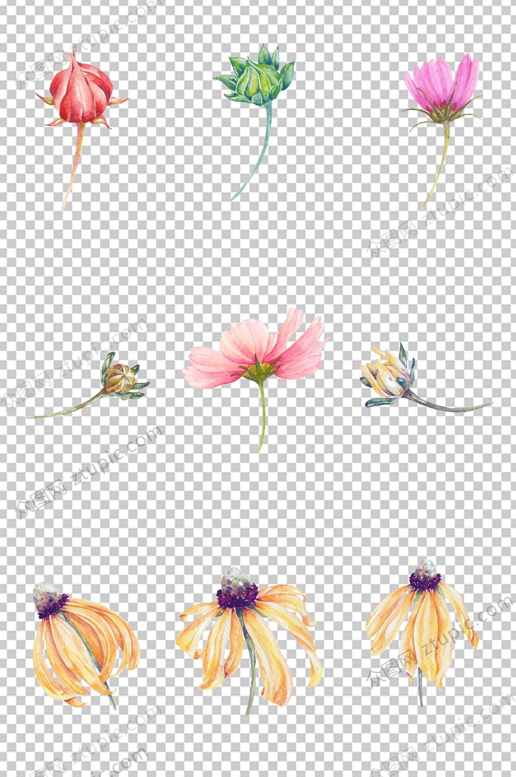 手绘花朵免抠素材素材