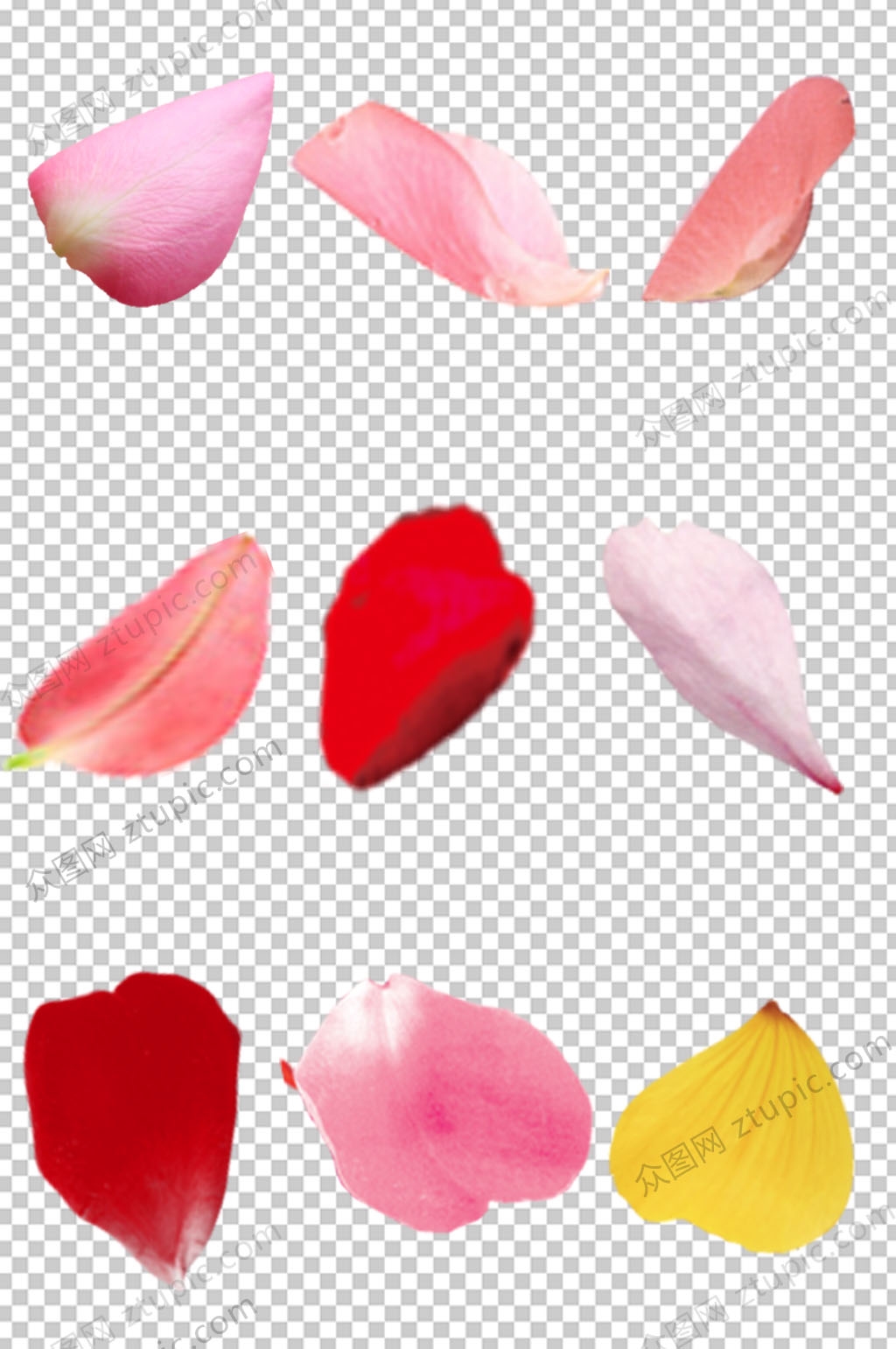 花瓣免抠素材PNG素材