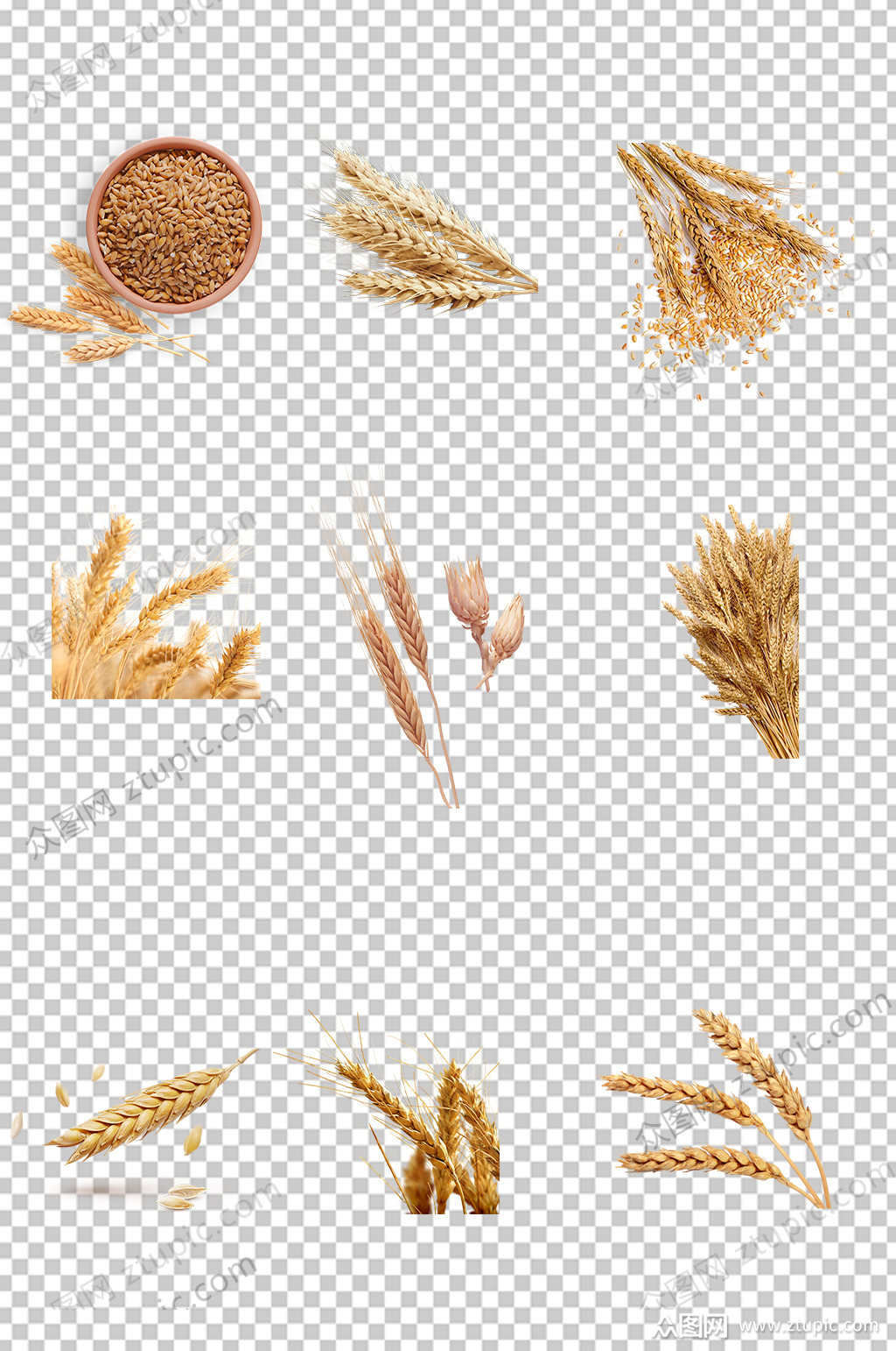 免扣小麦实物素材