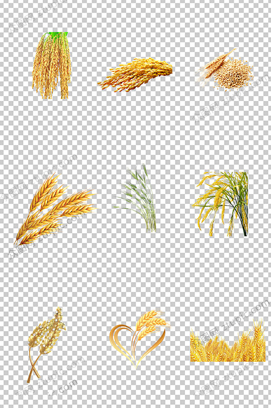秋收麦子免扣素材元素