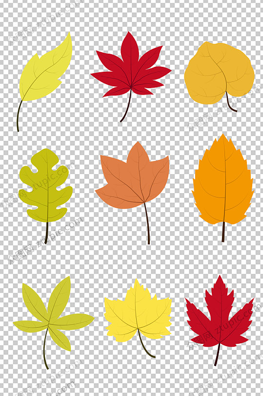 秋季元素枫叶png免扣