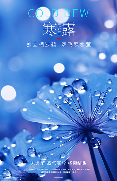 寒露摄影图