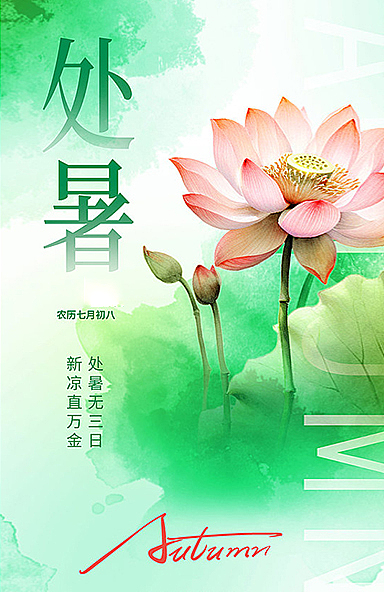 处暑摄影图