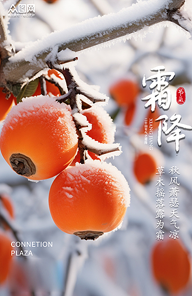 霜降攝影圖