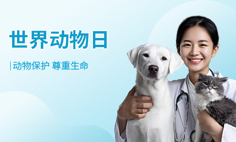 动物