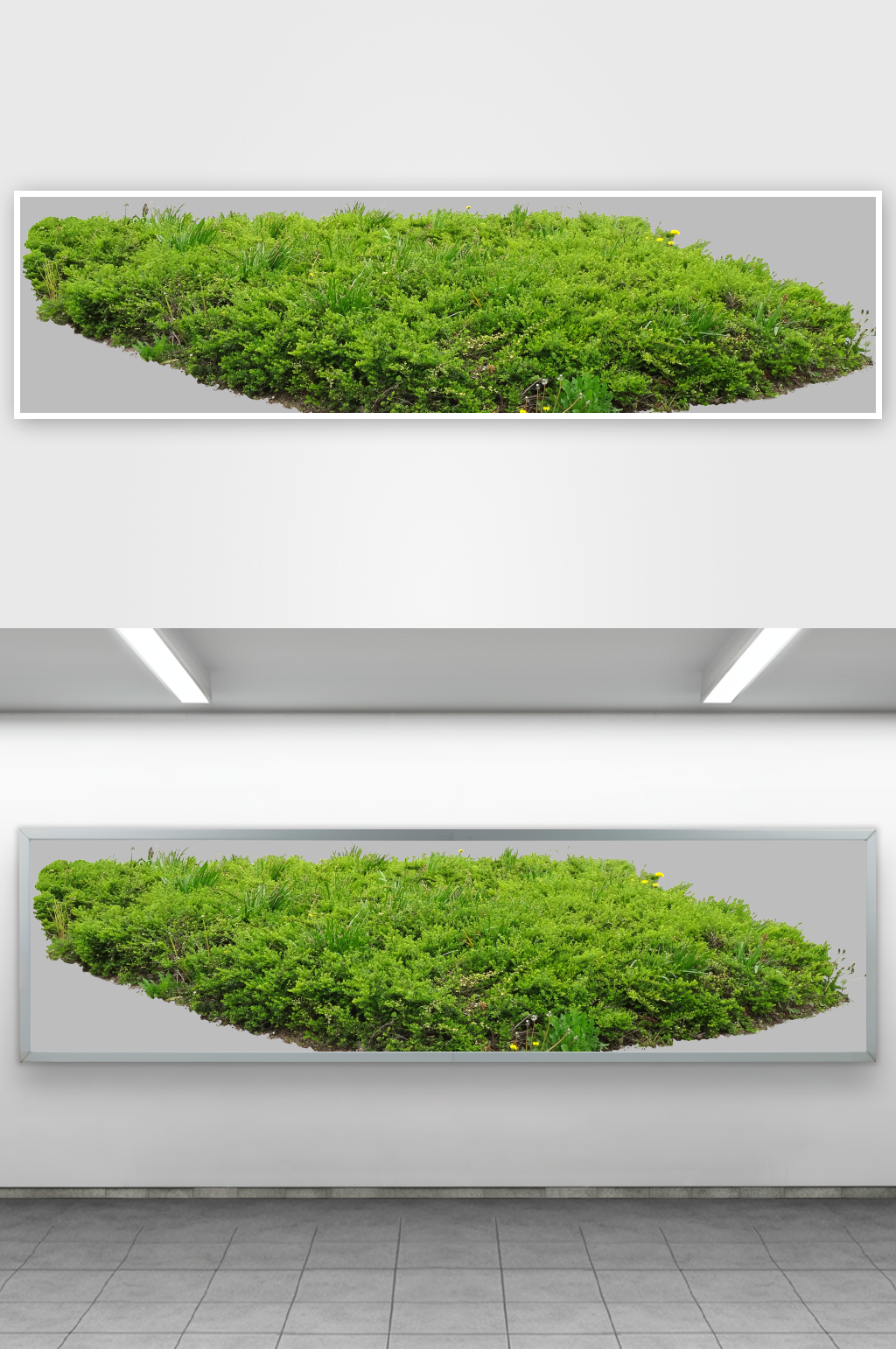 透明树木草坪植物免扣PNG素材素材