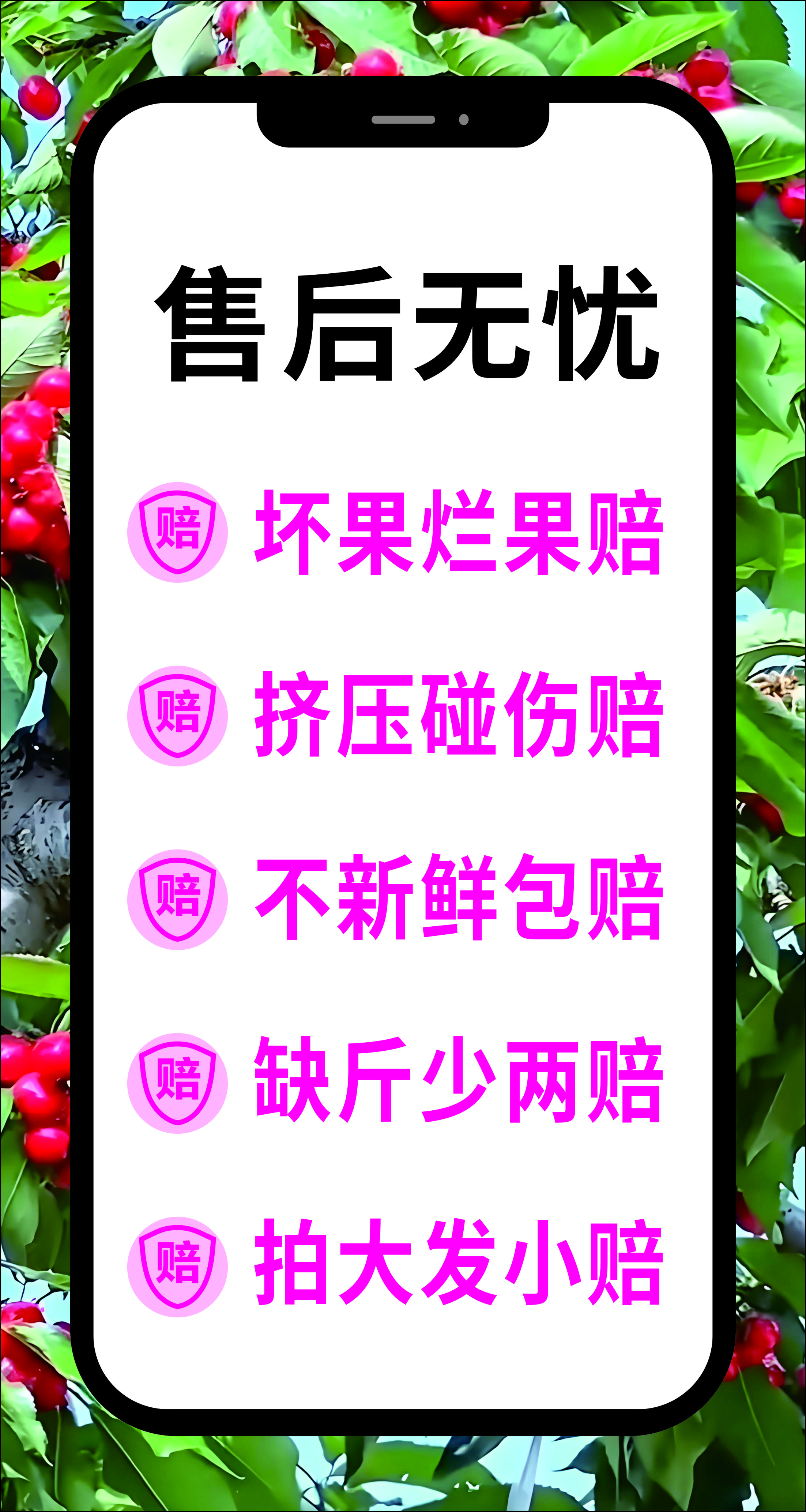 樱桃售后无忧展板素材