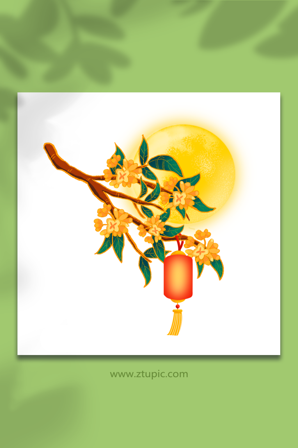 橙色金色中秋节桂花插画素材