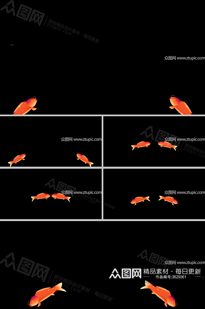 鲤鱼跃出水面带通道素材