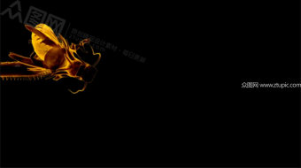 金龙飞舞特效视频-众图网