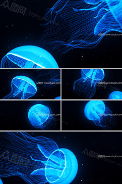蓝色海洋水母动画