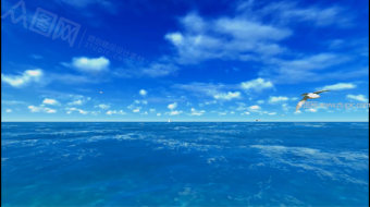 蓝色海洋大海海鸥-众图网