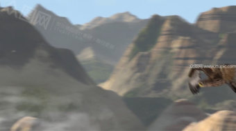 大气震撼雄鹰飞翔-众图网