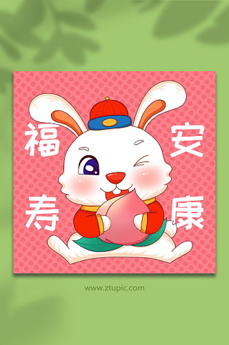 卡通福寿安康水果祝福兔年插画