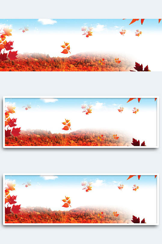 秋叶背景图片 秋叶背景设计素材 秋叶背景模板下载 众图网