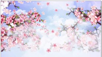 桃花盛开花海云海花路花瓣视频-众图网