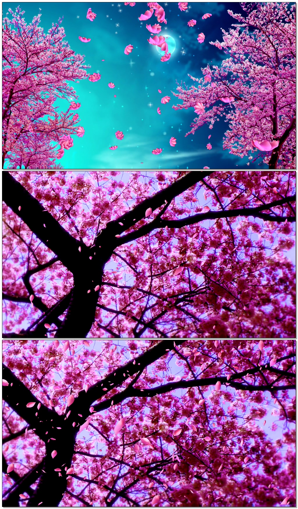 唯美浪漫鲜花花瓣飞花