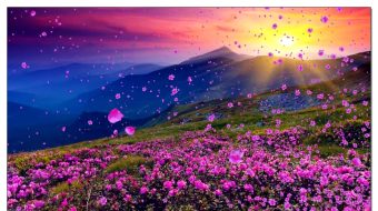 晚会红歌映山红花飘背景-众图网