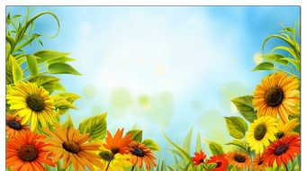 美丽向日葵蝴蝶蓝天-众图网