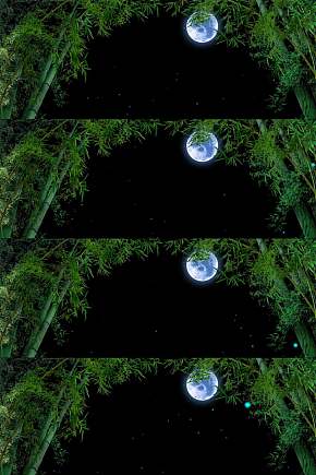 唯美竹林月亮夜景星空