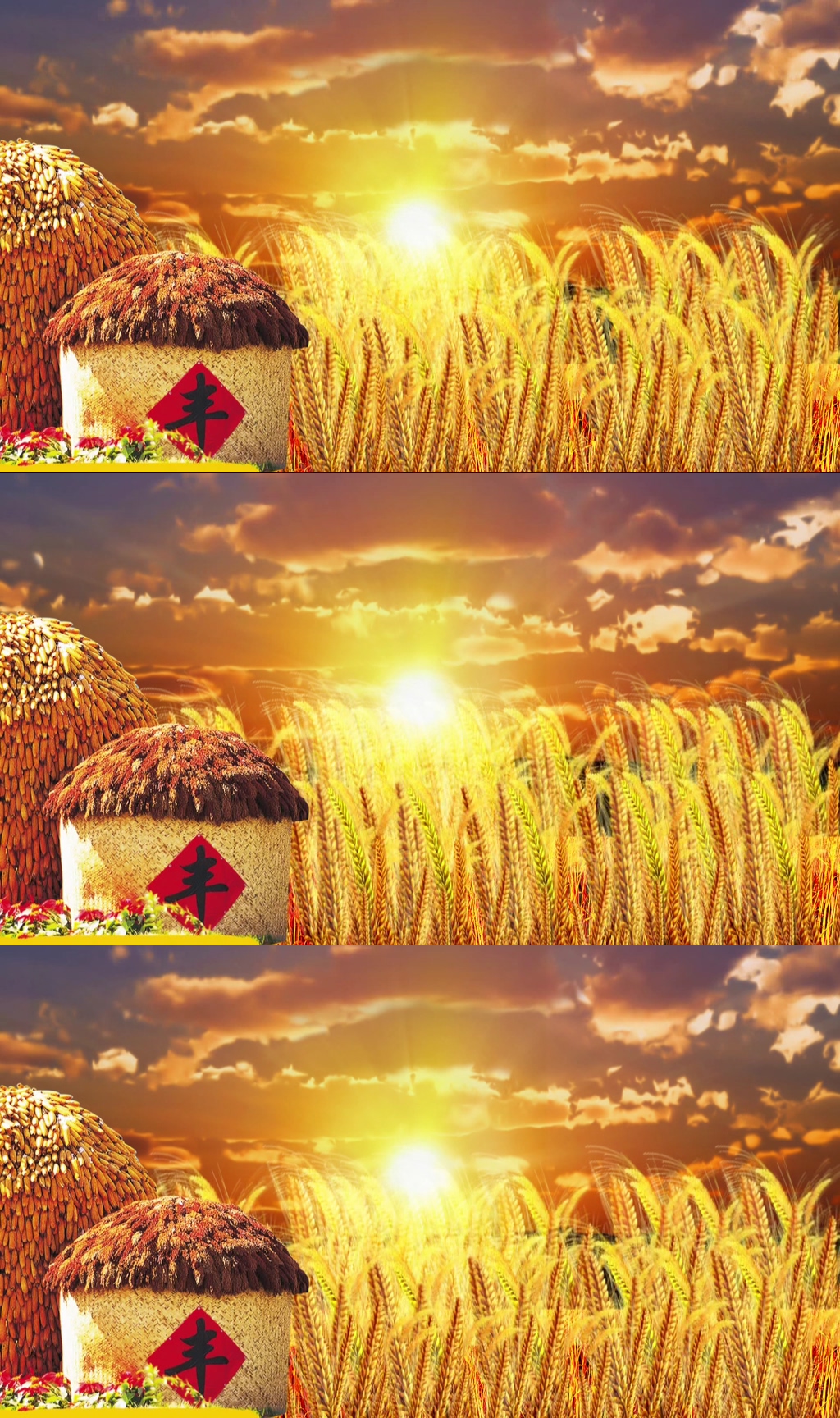 秋季豐收金色麥田麥浪夕陽素材