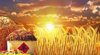 秋季丰收金色麦田麦浪夕阳-众图网