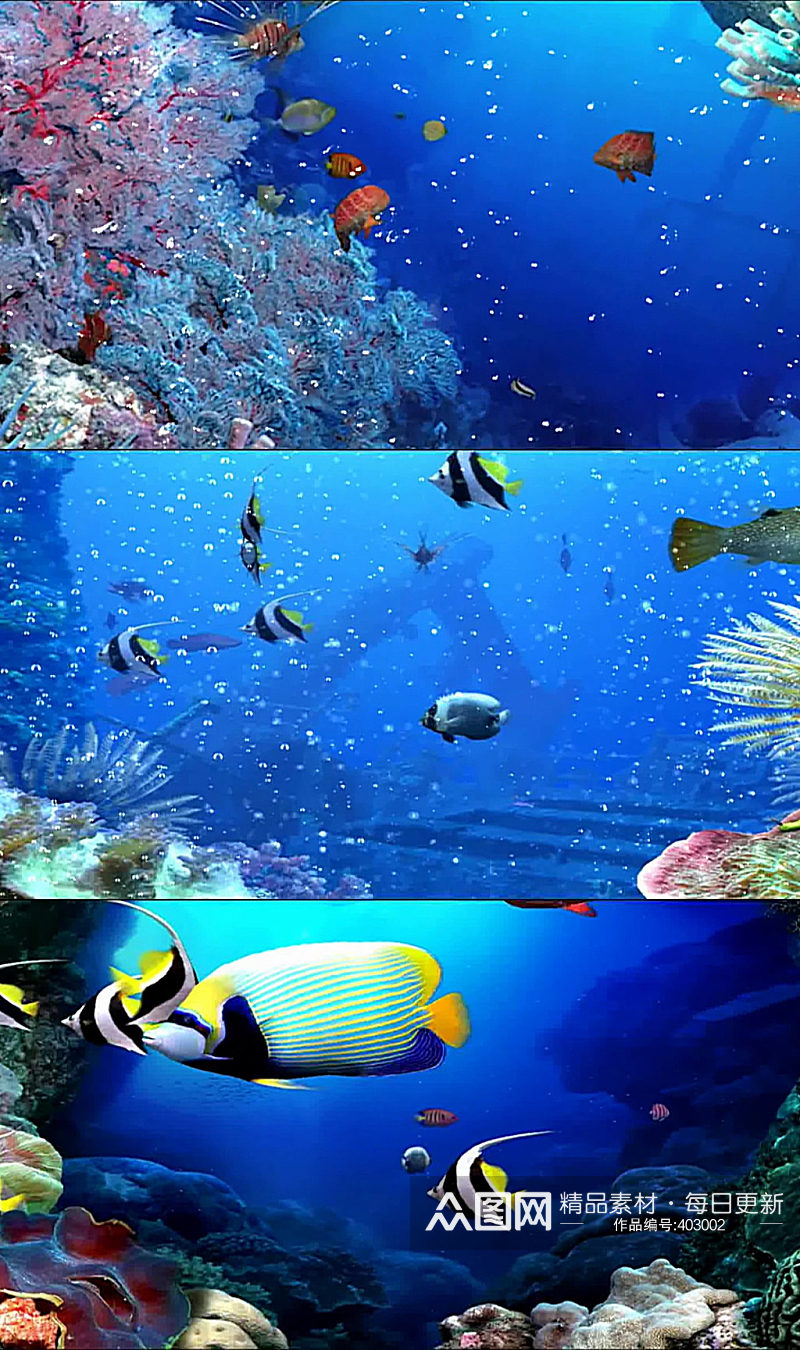 海底世界鱼群3D海洋馆素材