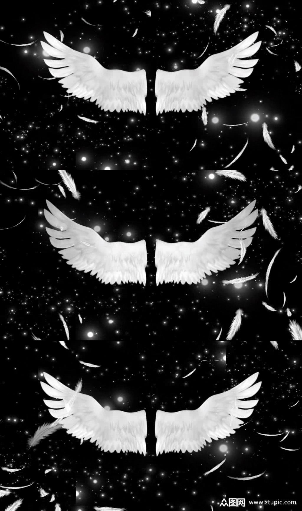 唯美婚礼婚庆天使翅膀羽毛飘散