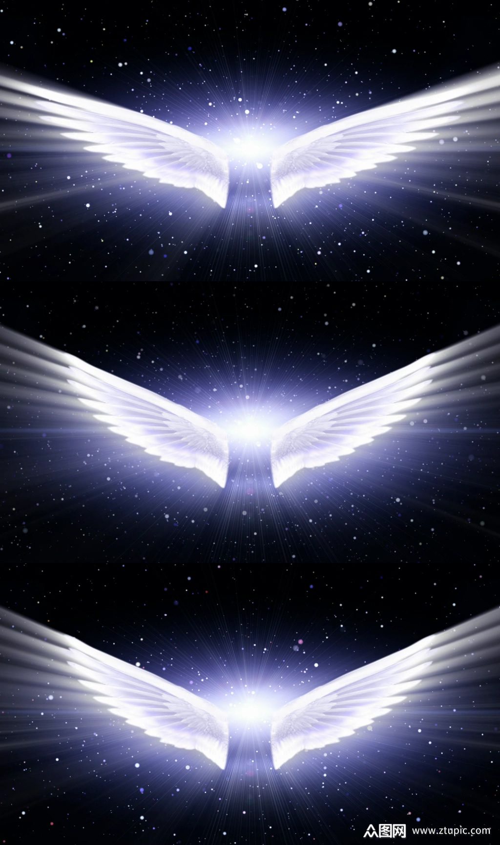 婚庆天使翅膀素材免费下载,本作品是由浪子燕青上传的原创视频素材